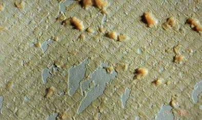 哪些操作參數的改變表示陶氏RO膜已被微生物污染？